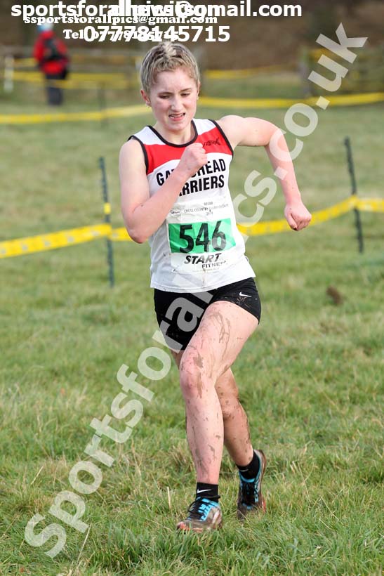 Womens under-17s and under-20s cross country, 2019 North Eastern Cross Country Champs., Alnwick, Northumberland.  Photo: David T. Hewitson/Sports for All Pics